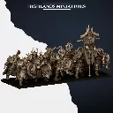 NORSE HUSCARL UNIT 2.webp