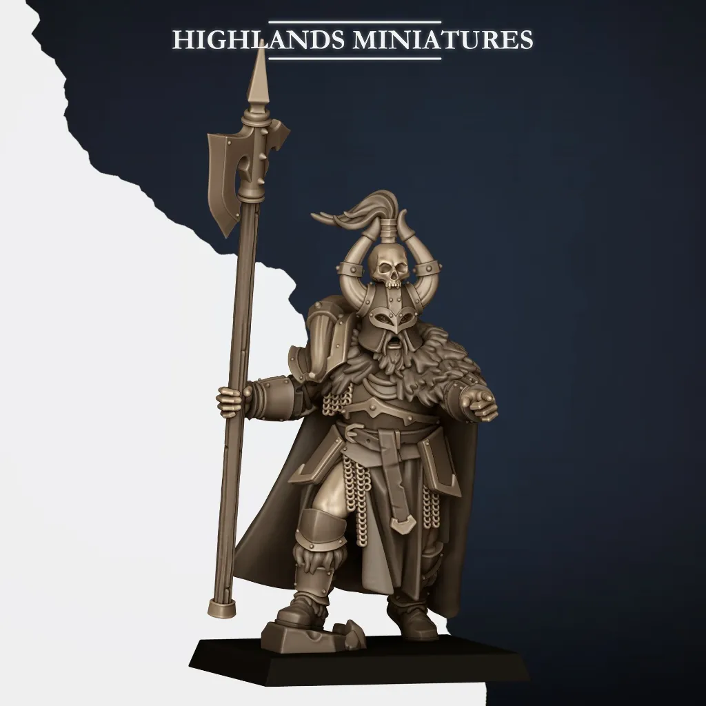 NORSE HUSCARL CAPTAIN 2.webp