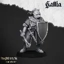 720X720-knight-of-gallia-foot-2.webp