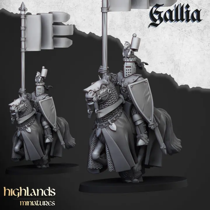 720X720-knight-of-gallia-bannerman.webp