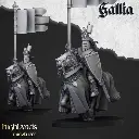 720X720-knight-of-gallia-bannerman.webp