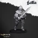 720X720-gallia-men-at-arms-captain.webp
