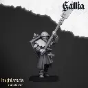720X720-gallia-men-at-arms-7.webp