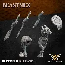 720X720-BEAST CENTAUR 5.webp