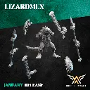 720X720-WARRIOR LIZARD 4.webp