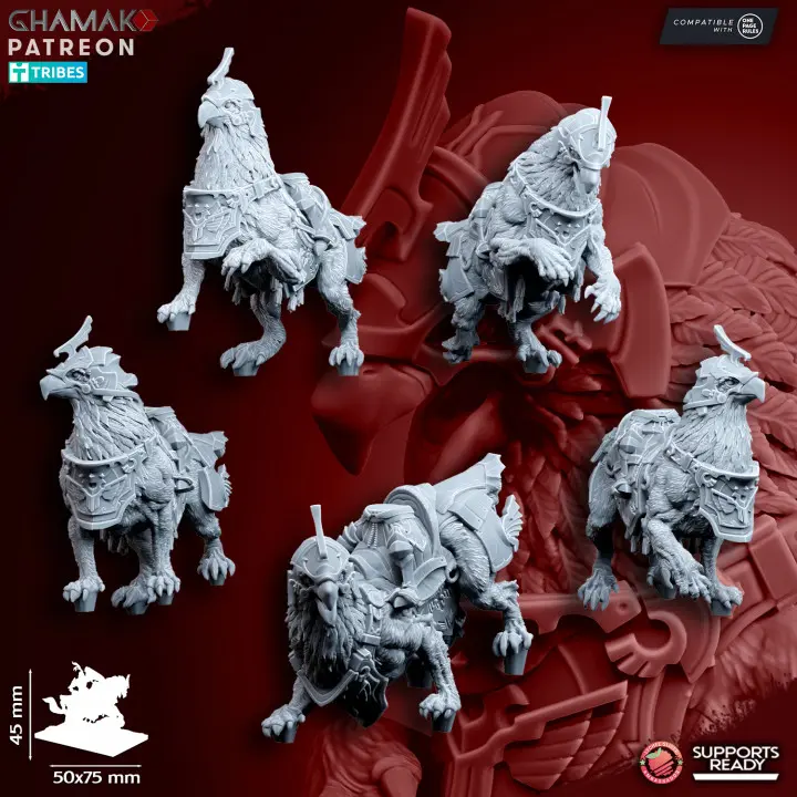 720X720-850-gryphon-bodies.webp