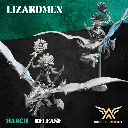 720X720-SLIPPERY LIZARD SHAMAN SKYCRAWLER 2.webp