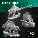 720X720-FIRE LIZARD 2.webp