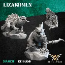 720X720-FIRE LIZARD 3.webp