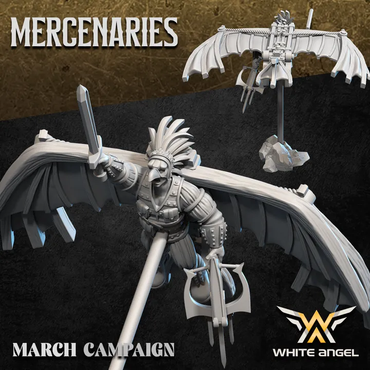 720X720-BIRDMEN 3.webp