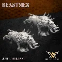 720X720-BEAST BOAR THING 3.webp