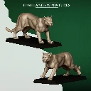 FERAL_ANIMALS_COUGARS.webp