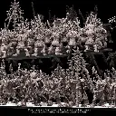 Avatars of war - Démons - démons de la pestilence battle ready