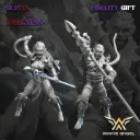White angel - Dark elves - Maitres des bêtes (X2)