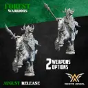 White angel - Elfes sylvains - Seigneur sur cheval