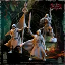 The Beholder miniatures- Elfes des bois - Rangers Etat major complet