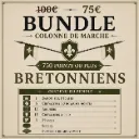 BUNDLE 750 POINTS BRETONNIENS