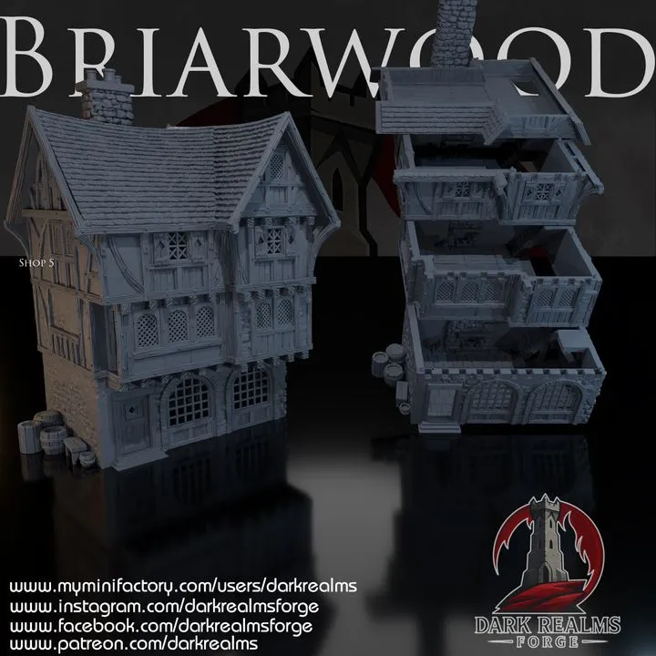 Dark realms - Dark Realms - Briarwood - Boutique 5