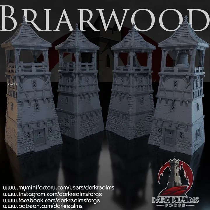 Dark realms - Dark Realms - Briarwood - Tour de garde