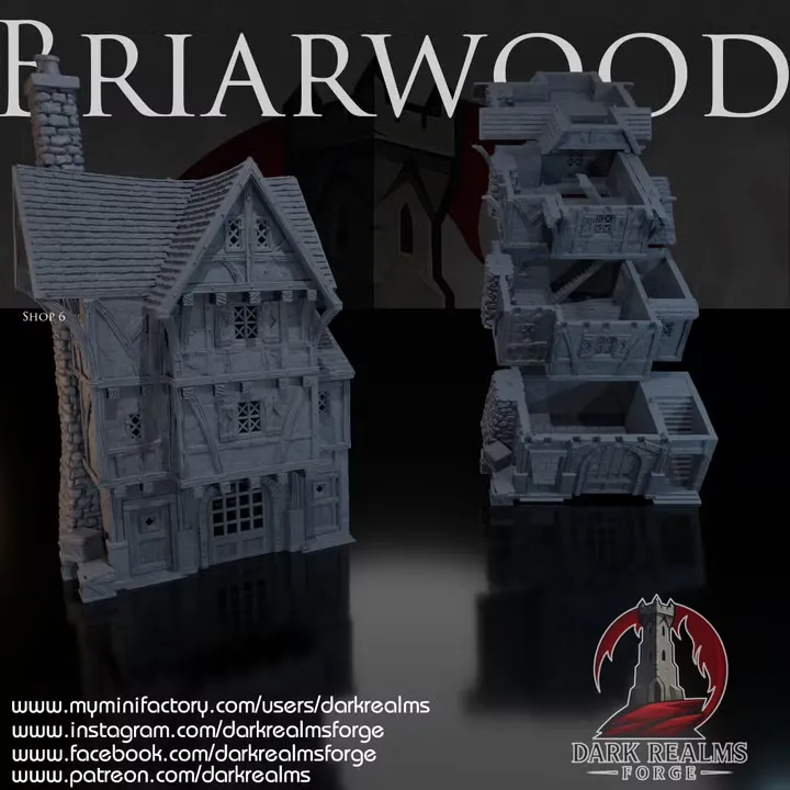 Dark realms - Dark Realms - Briarwood - Boutique 6 (28mm)