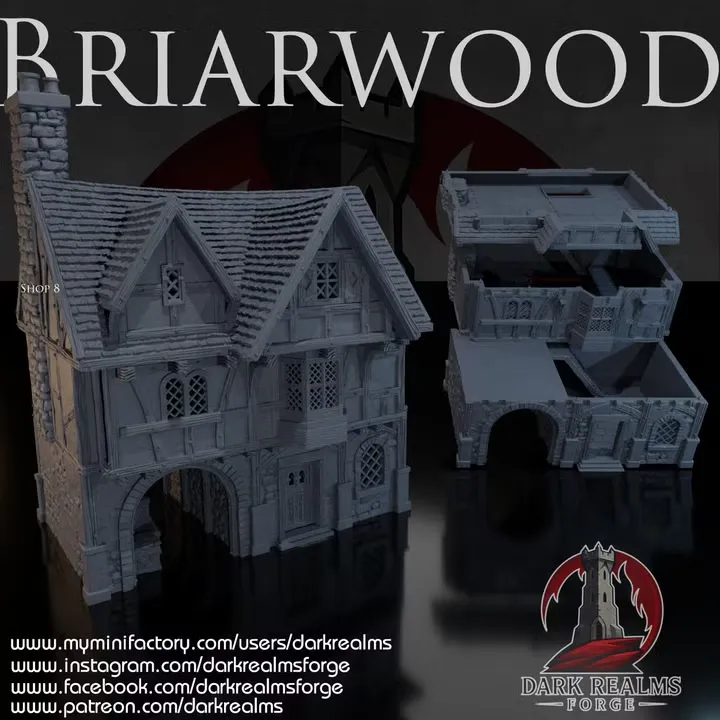 Dark realms - Dark Realms - Briarwood - Boutique 8 (28mm)