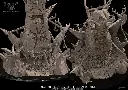 Avatars of War - Monolithe des hommes-bêtes - Beastshrine