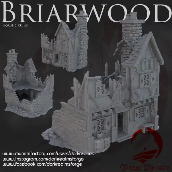 Dark realms - Dark Realms - Briarwood - Maison 6 en ruines