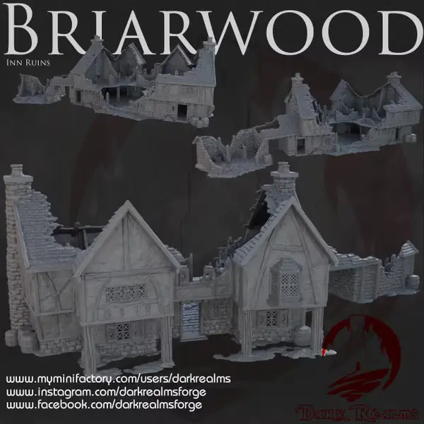 Dark realms - Dark Realms - Briarwood - Taverne en ruines