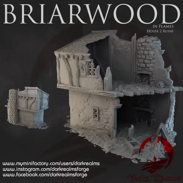 Dark realms - Dark Realms - Briarwood - Maison 2 en ruines