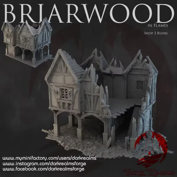 Dark realms - Dark Realms - Briarwood - Boutique 3 en ruines 