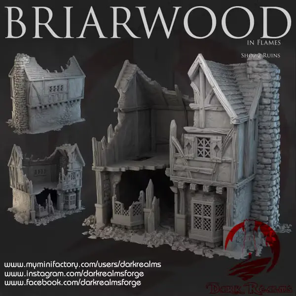 Dark realms - Dark Realms - Briarwood - Boutique 2 en ruines 