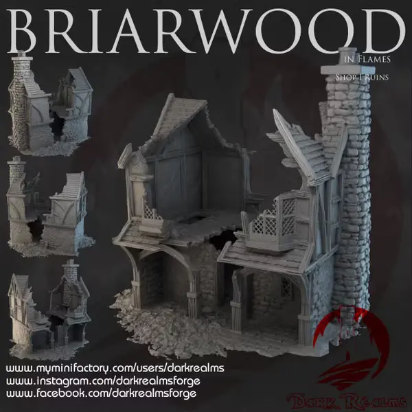 Dark realms - Dark Realms - Briarwood - Boutique 1 en ruines
