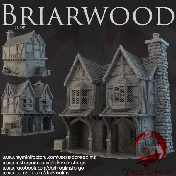 Dark realms - Dark Realms - Briarwood - Boutique 1