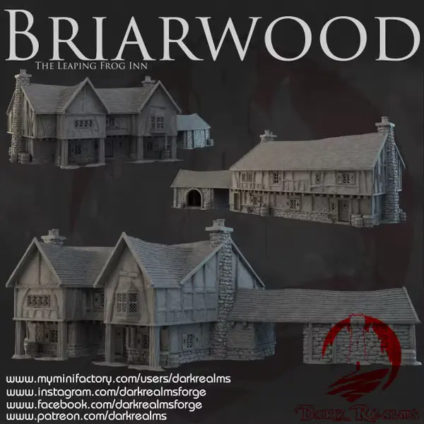 Dark realms - Dark Realms - Briarwood - Taverne