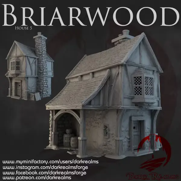 Dark realms - Dark Realms - Briarwood - Maison 5
