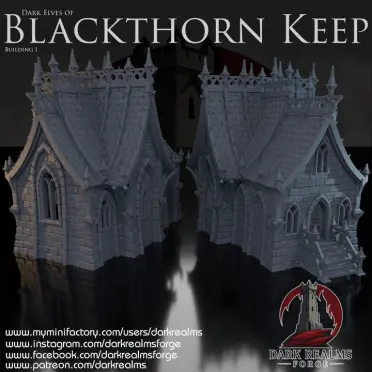 Dark realms - Blackthorn Keep - Maison elfe noir 1 (28mm)