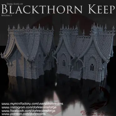 Dark realms - Blackthorn Keep - Maison elfe noir 2 (28mm)
