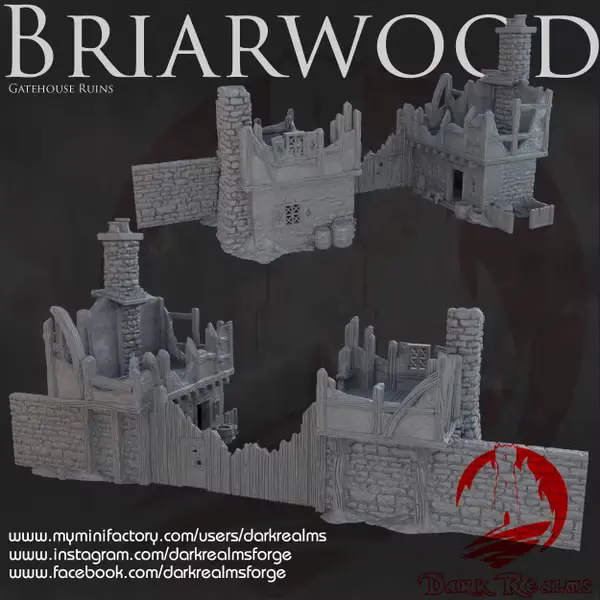 Dark realms - Dark Realms - Briarwood - Entrée de la ville en ruines