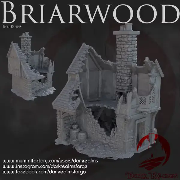 Dark realms - Dark Realms - Briarwood - Maison 5 en ruines