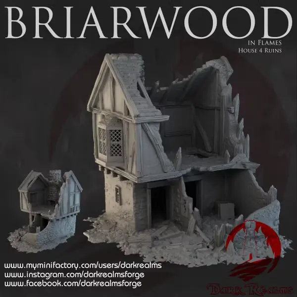 Dark realms - Dark Realms - Briarwood - Maison 4 en ruines
