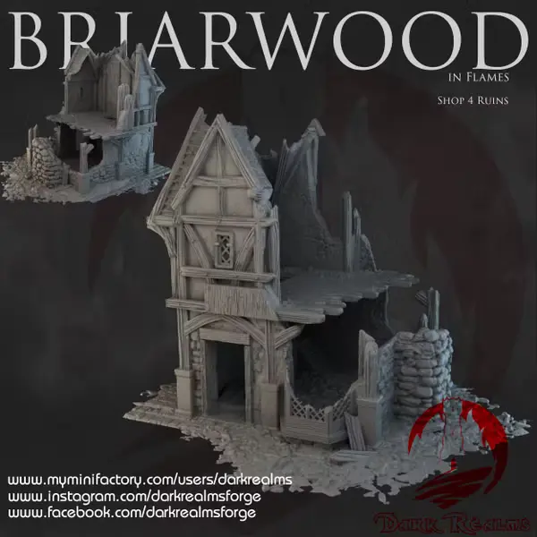 Dark realms - Dark Realms - Briarwood - Boutique 4 en ruines