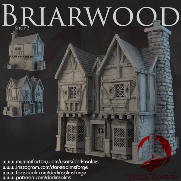 Dark realms - Dark Realms - Briarwood - Boutique 2