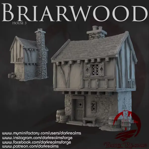 Dark realms - Dark Realms - Briarwood - Maison 3