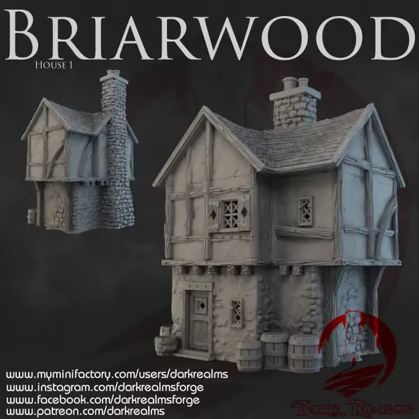 Dark realms - Dark Realms - Briarwood - Maison 1