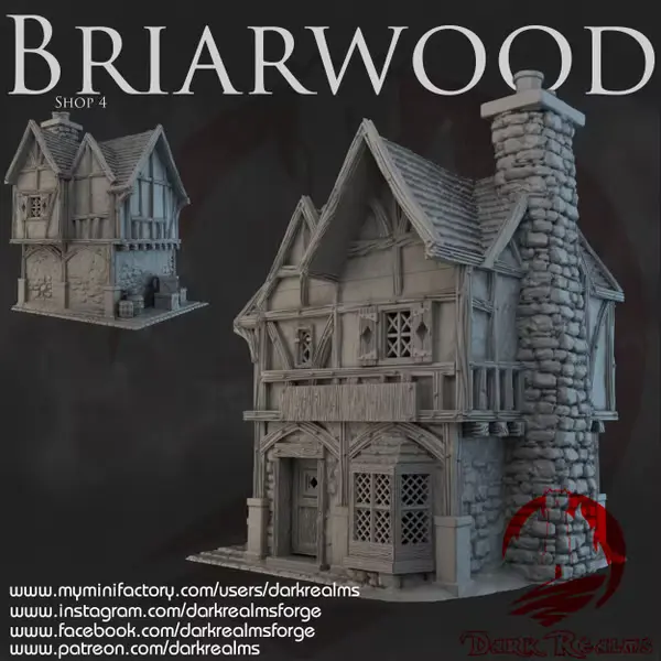 Dark realms - Dark Realms - Briarwood - Boutique 4