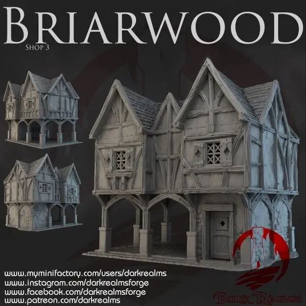 Dark realms - Dark Realms - Briarwood - Boutique 3
